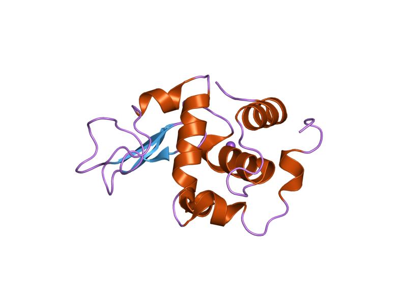 File:PDB 1gf7 EBI.jpg