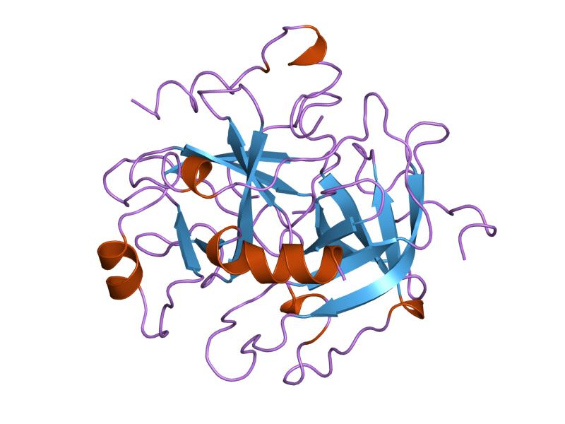 File:PDB 1hxf EBI.jpg