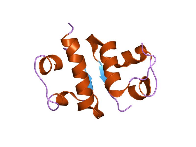 File:PDB 1iza EBI.jpg