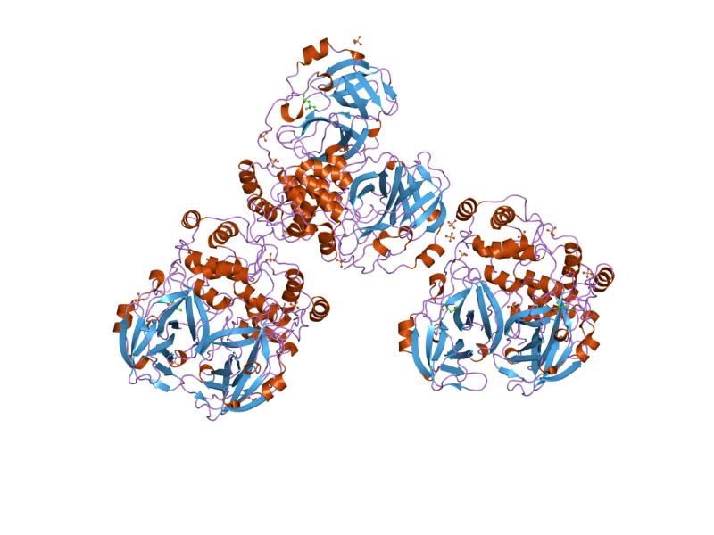 File:PDB 1p9u EBI.jpg