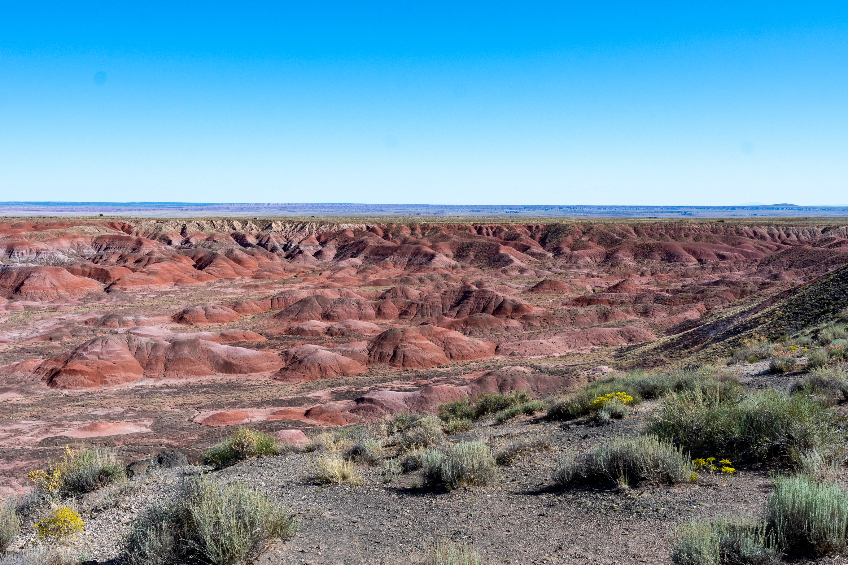 Самые большие 10 пустыни в мире. Painted Desert in Colorado.