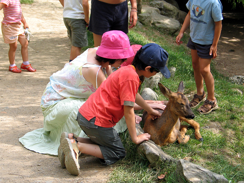 File:Parc animalier pyrenees 6.jpg