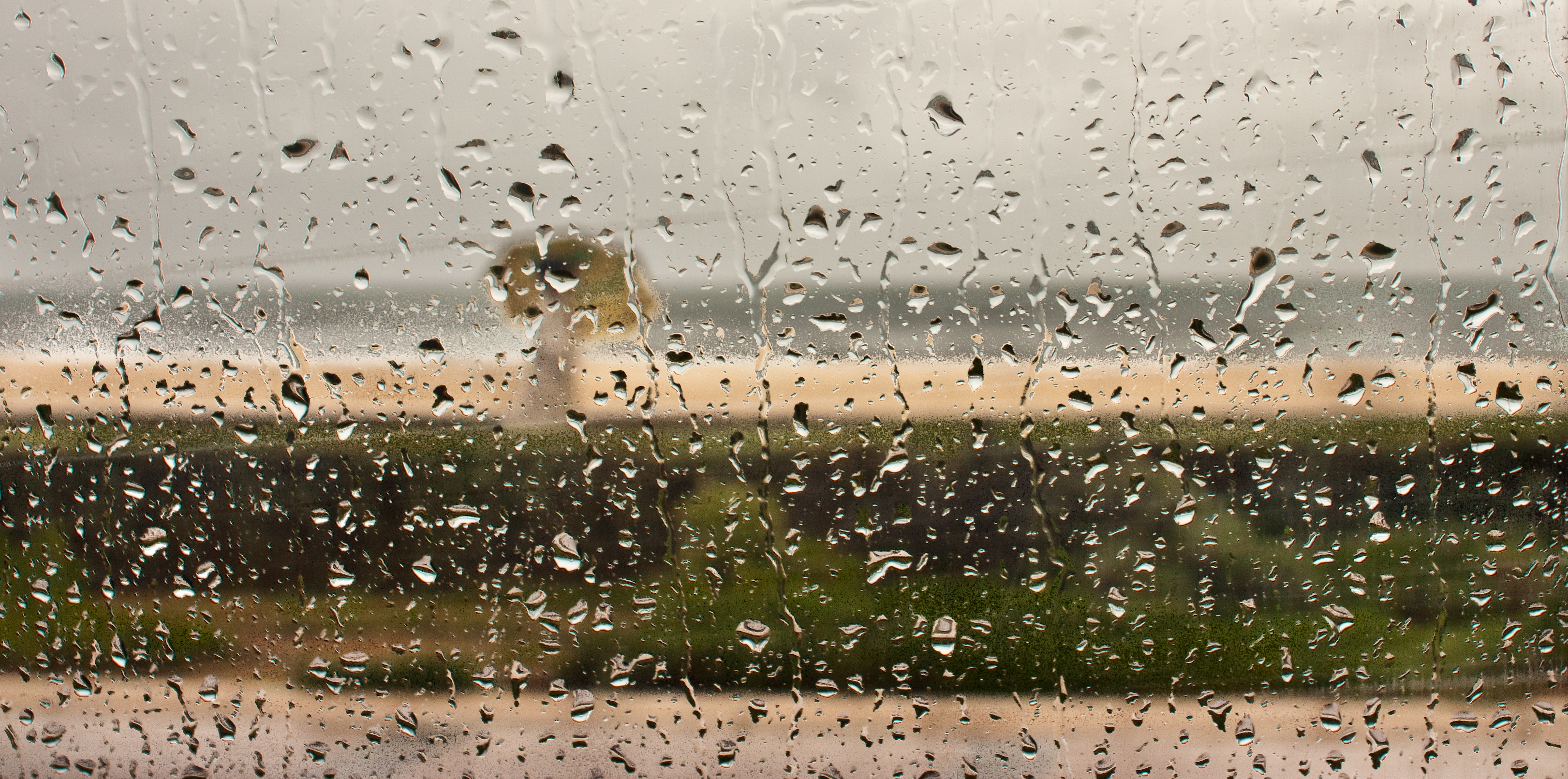 Que hacer en un día de lluvia