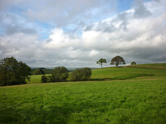 File:Pasture near Warth - geograph.org.uk - 3111132.jpg