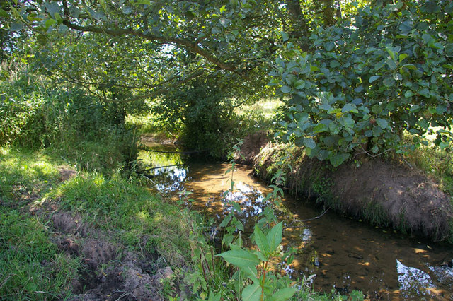 Pedley Brook - geograph.org.uk - 237924