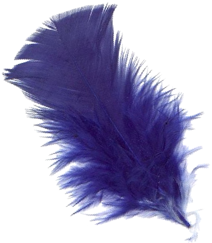 File:Pluma-azul-2R.png