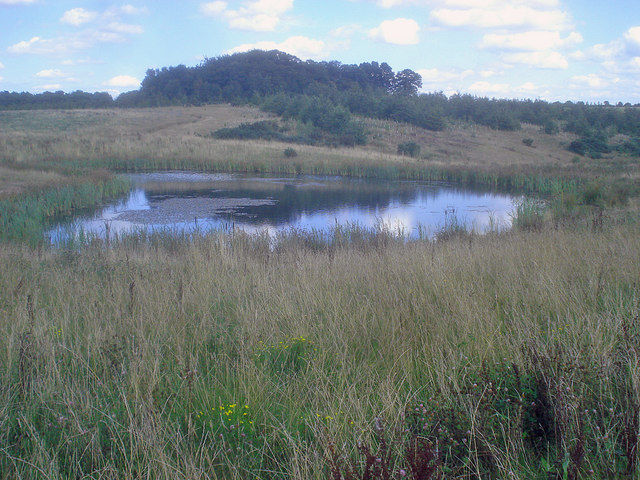 Pond at Hicks Lodge - geograph.org.uk - 1503369