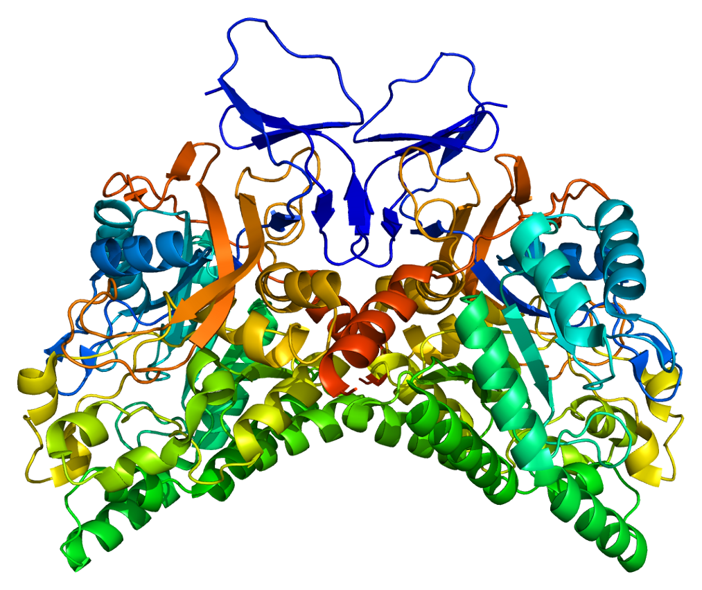 Фосфопротеины биохимия. Фосфопротеиды структура. Структура белка PDB. Фосфопротеиды строение.