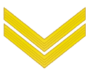 Sleeve insignia