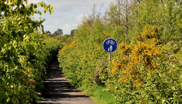 File:Road landscaping, Comber (2) - geograph.org.uk - 2945522.jpg