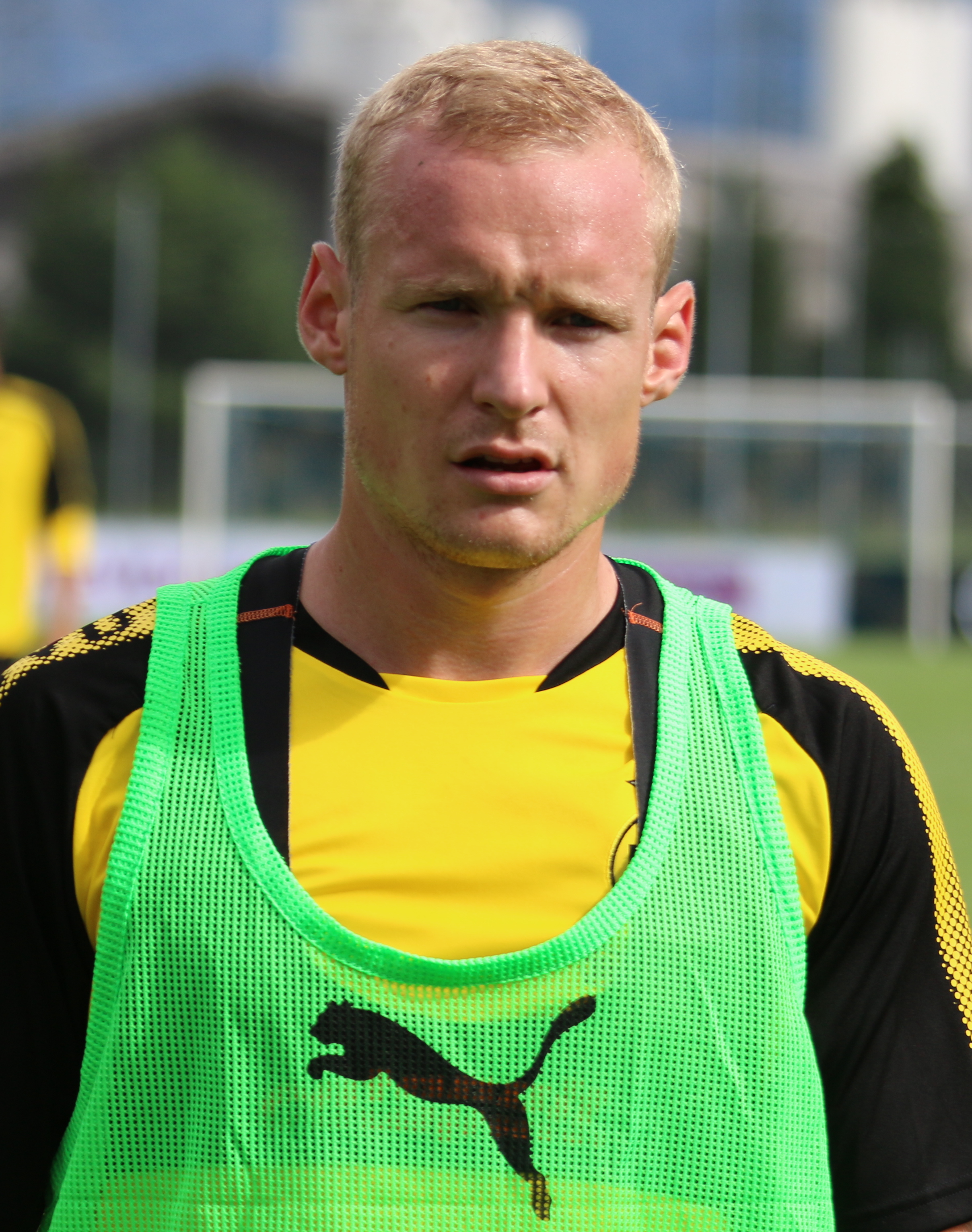 wildernis Geduld Stuwkracht Sebastian Rode - Wikipedia