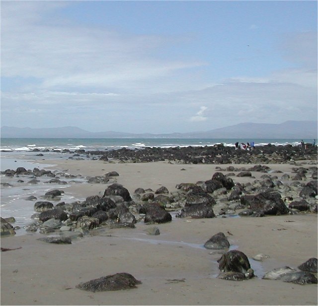 Shell island. Остров Шелл. Остров Старбак пляж. Си Шелл острова.