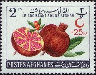 File:Stamp of Afghanistan - 1961 - Colnect 352663 - Pomegranate Punica granatum overprinted.jpeg