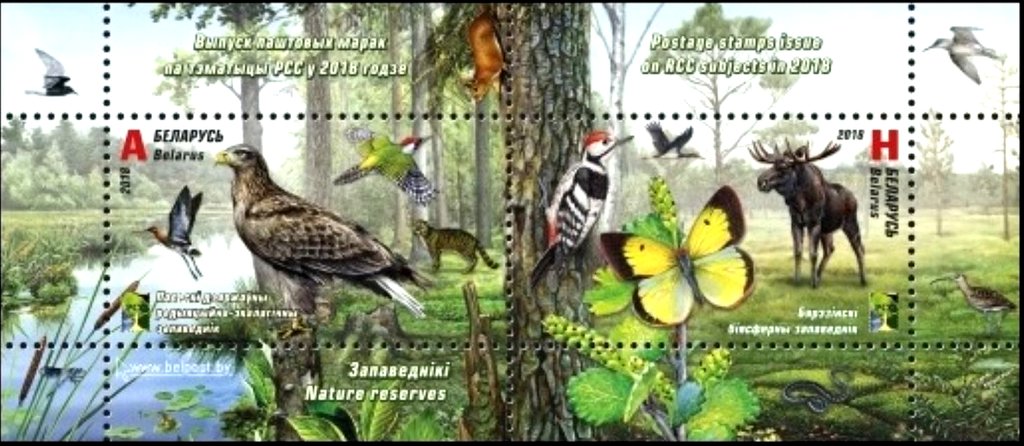 Arabiske Sarabo forum samtidig File:Stamp of Belarus - 2018 - Colnect 769858 - Nature Reserves of Belarus.jpeg  - Wikimedia Commons
