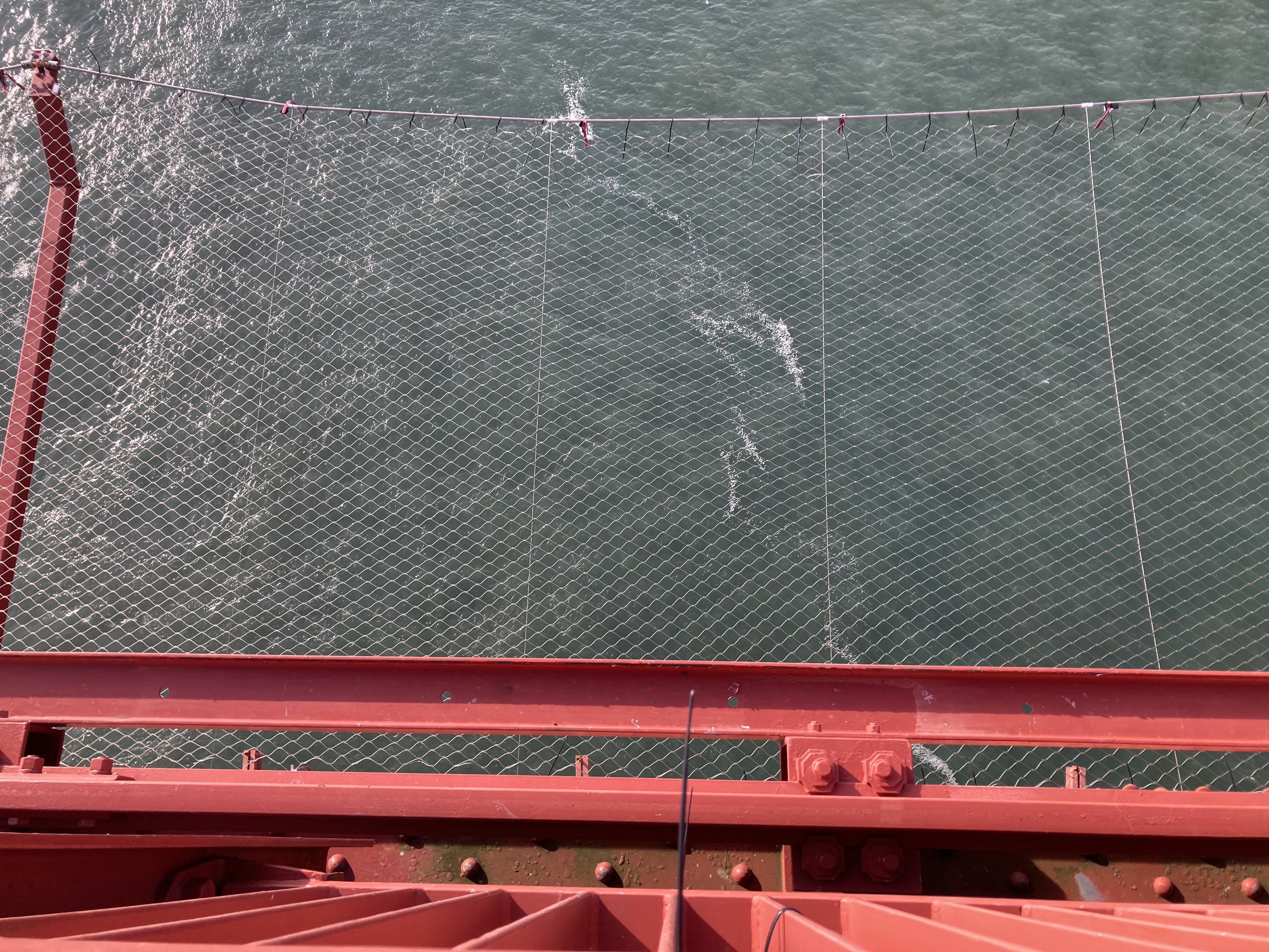 File:Suicide net on the Golden Gate Bridge.jpg - Wikipedia