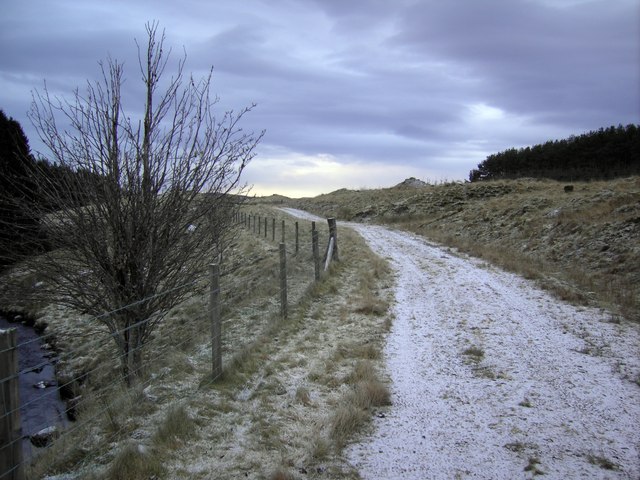 File:The Track - geograph.org.uk - 1114499.jpg