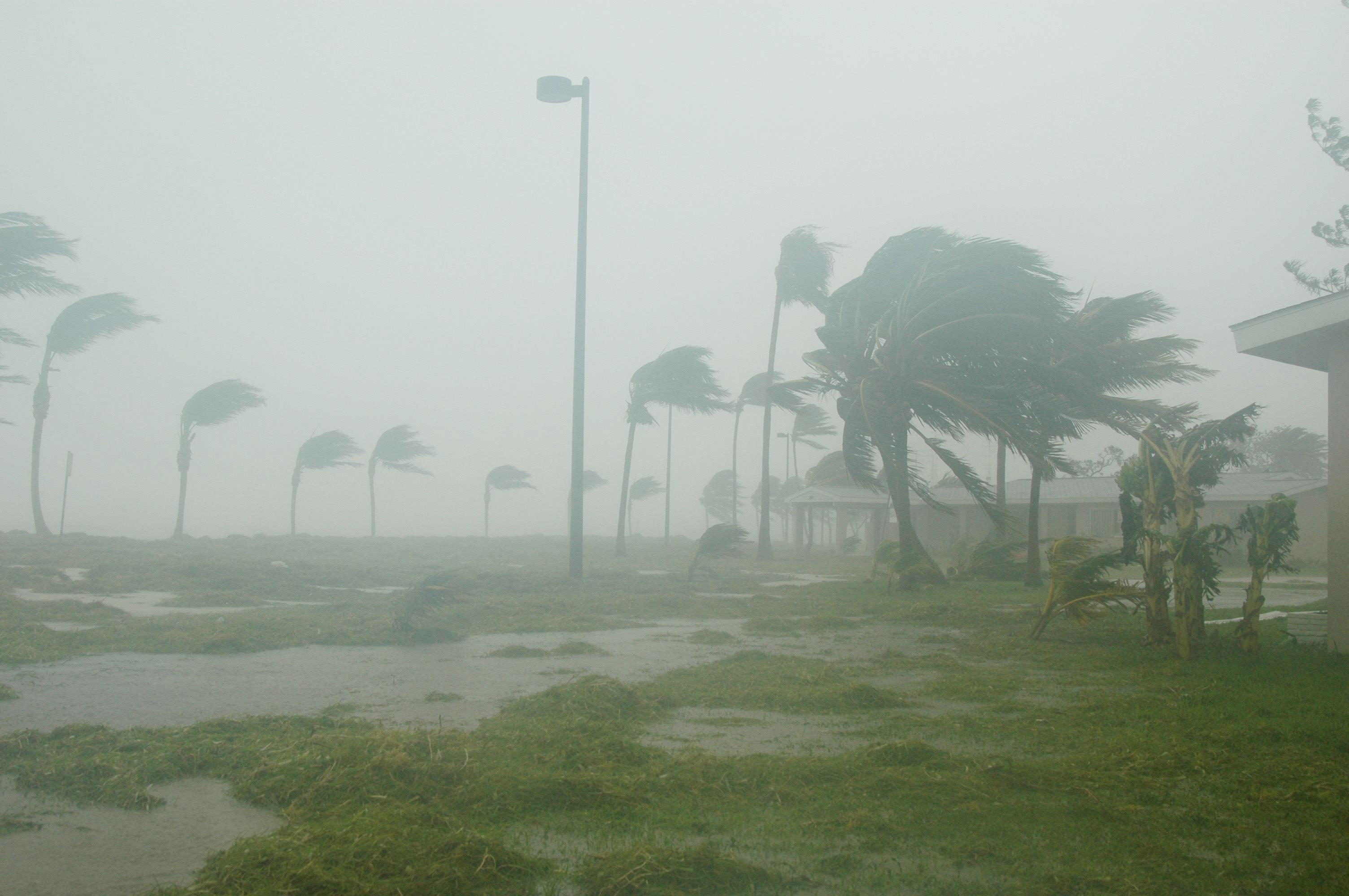 Hurricane Dennis - Wikipedia