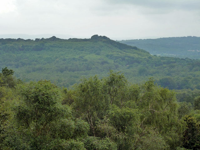 View towards Dunner Hill - geograph.org.uk - 3061924