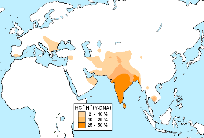 Haplogroup H Y Dna Wikipedia