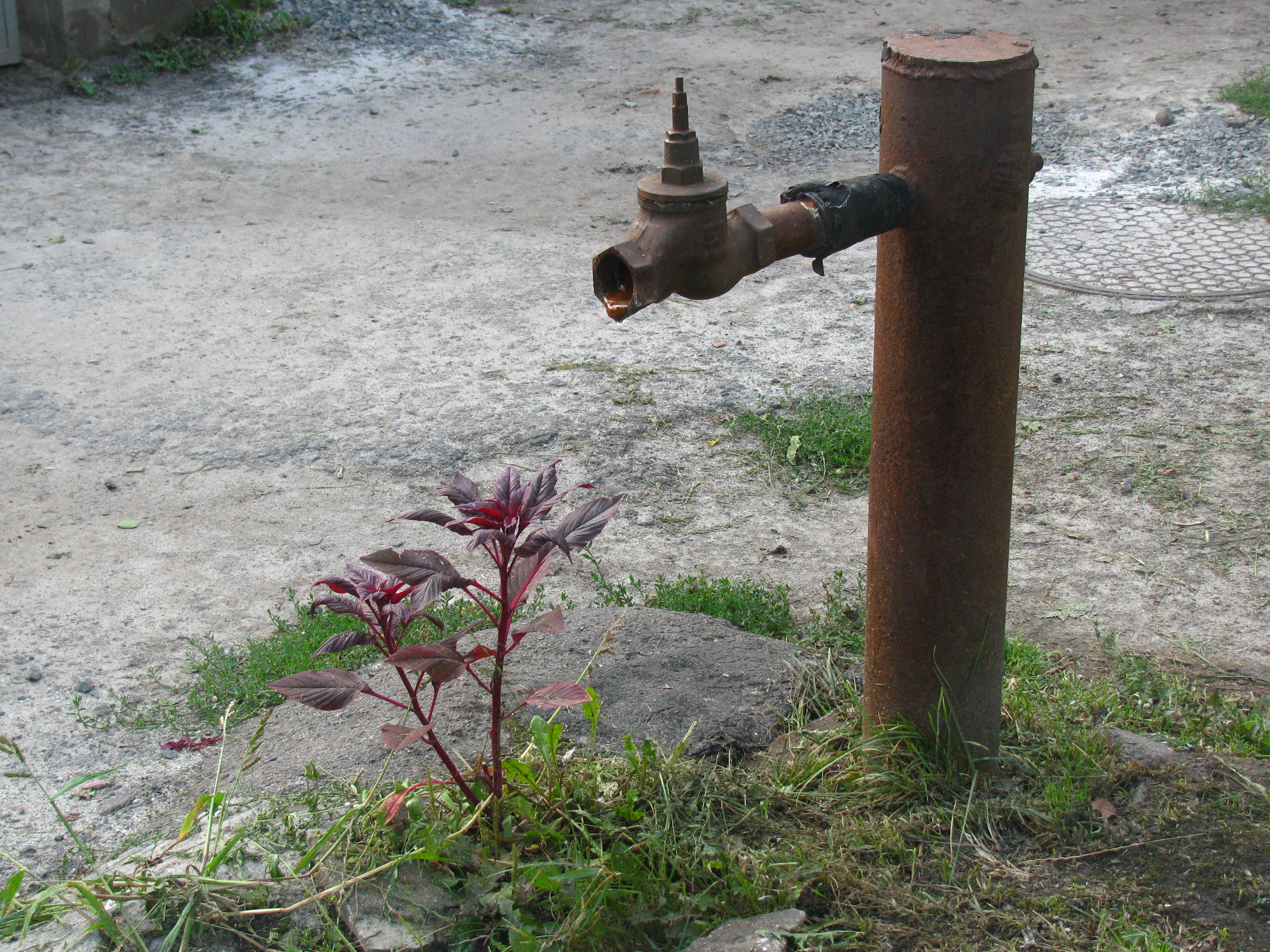 Колонка для воды уличная