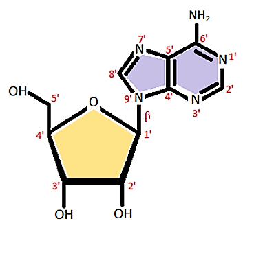 Odnosima