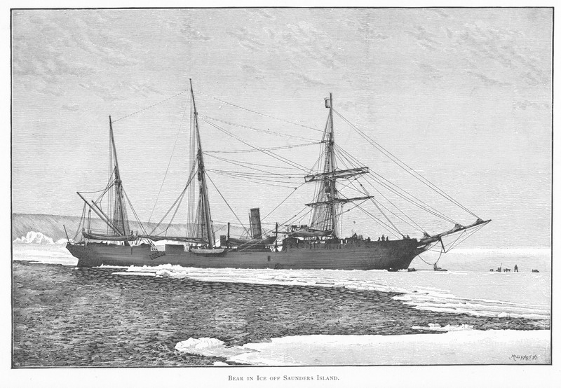 File:Bear of the Lady Franklin Bay Expedition.jpg