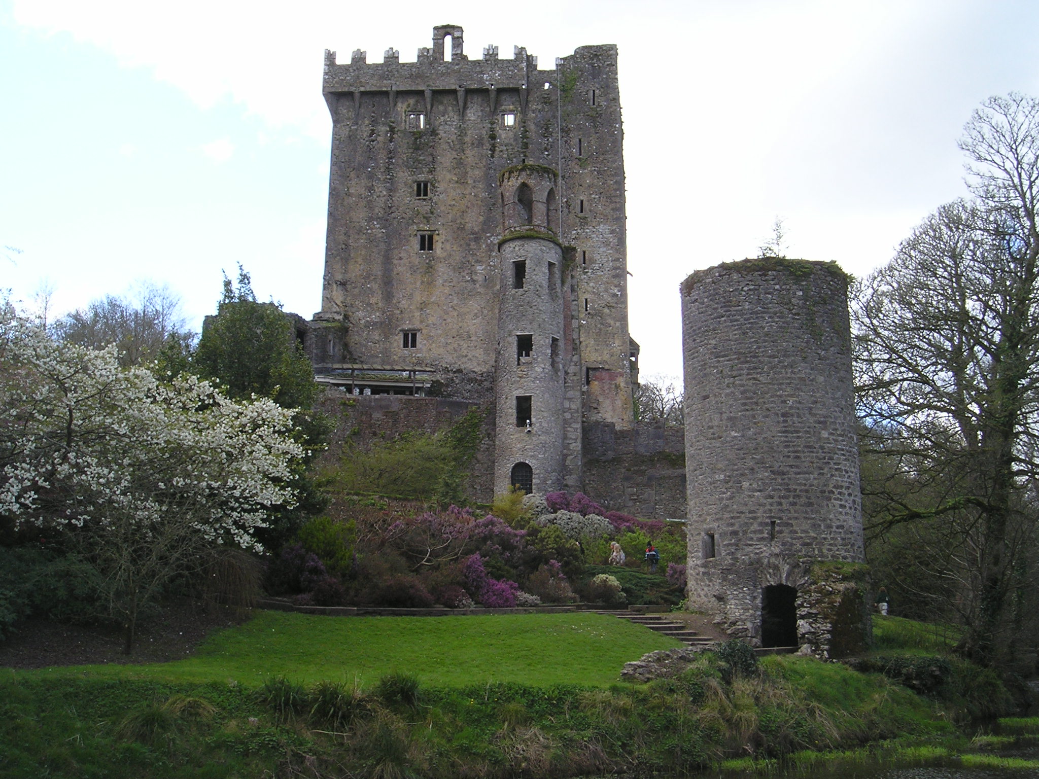 старинные замки ирландии