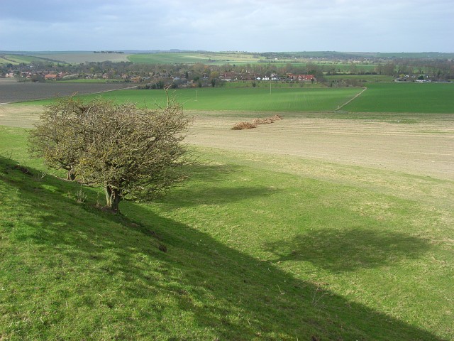 Blewburton Hill - geograph.org.uk - 721198