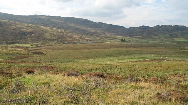 File:Boggy area, Girron Burn - geograph.org.uk - 973519.jpg