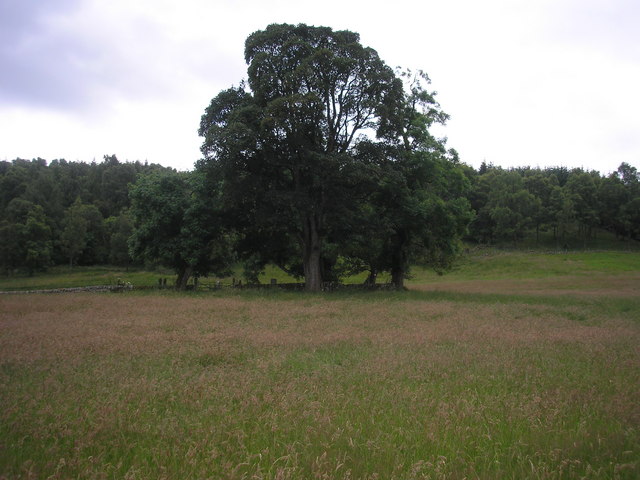 Burial ground