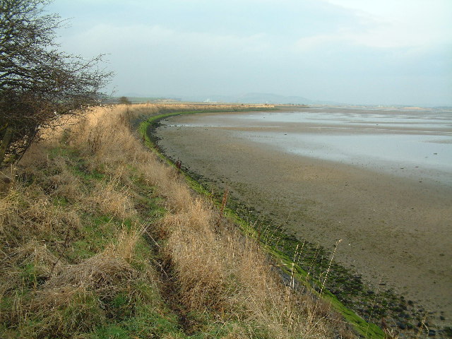 File:Coble Shore - geograph.org.uk - 111778.jpg