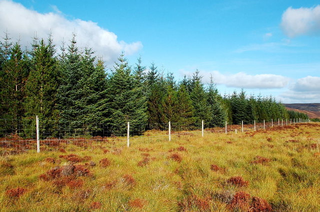 File:Deer Fence - geograph.org.uk - 1540114.jpg