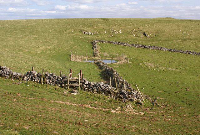 Dew pond on the Weaver Hills - geograph.org.uk - 364961