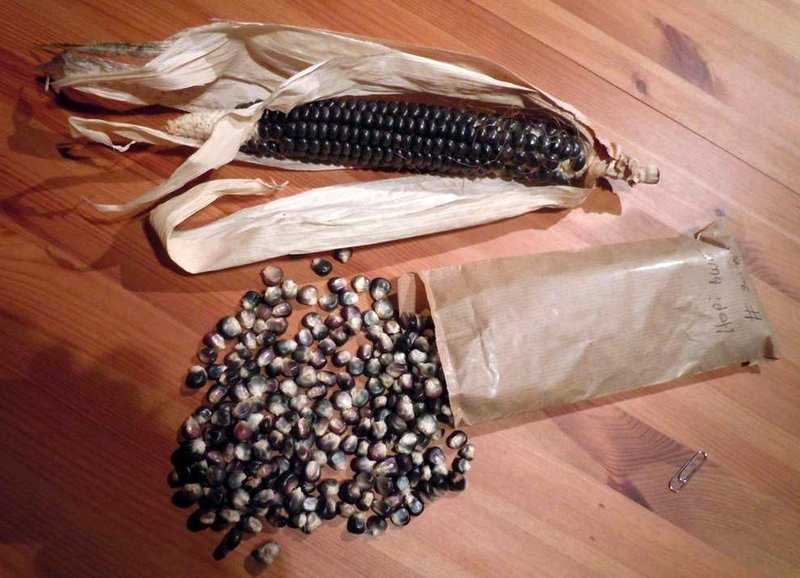 Hopi Blue Corn