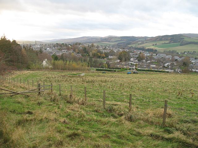 File:Horses, Shaws - geograph.org.uk - 624051.jpg