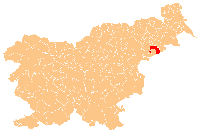 Municipality of Videm