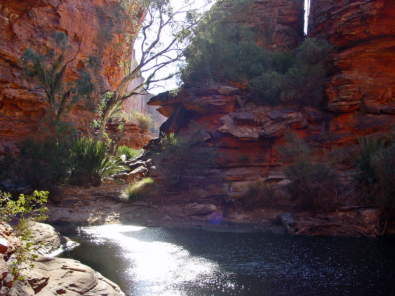 File:Kings Canyon, water hole - panoramio.jpg