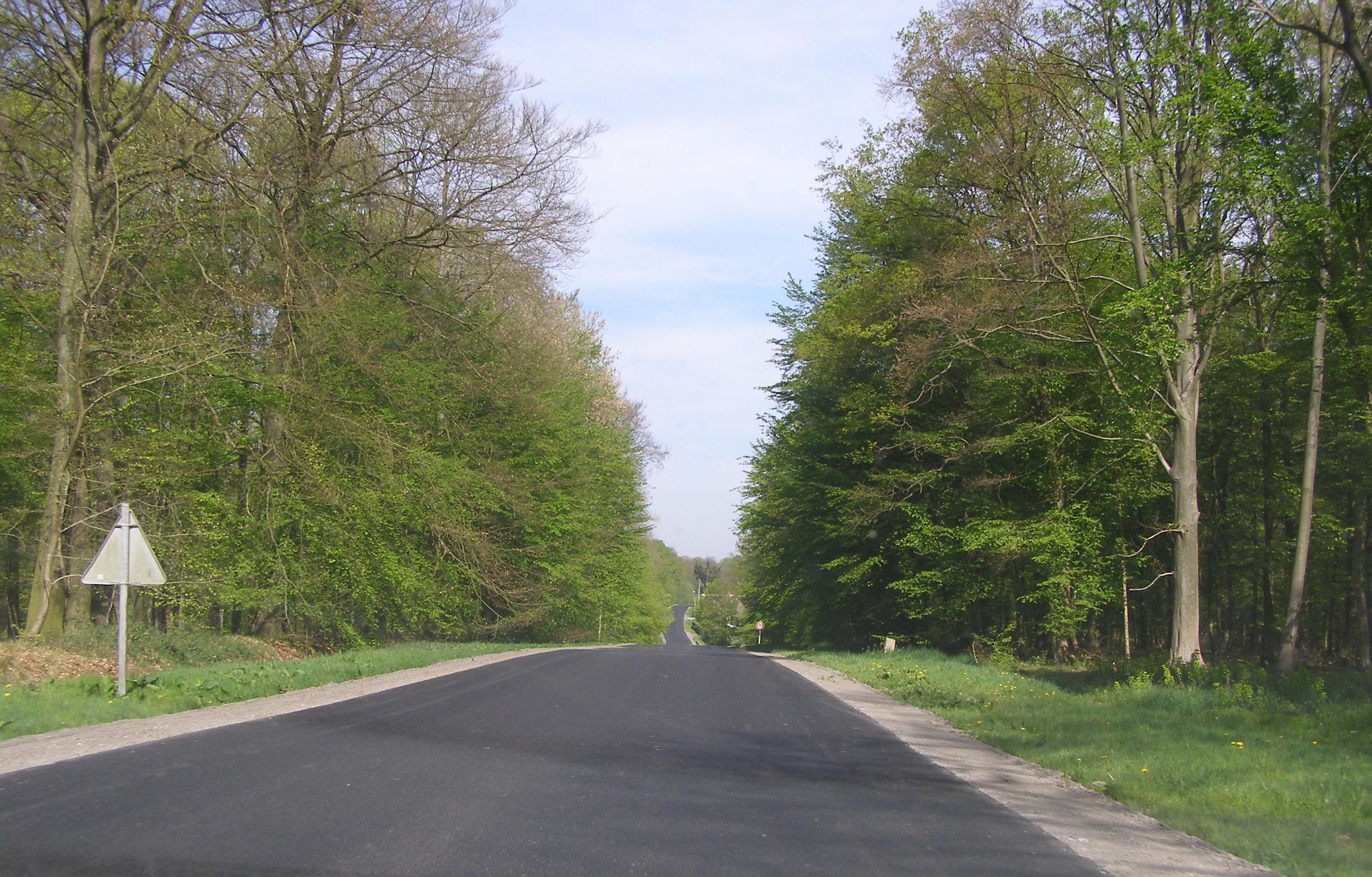 https://upload.wikimedia.org/wikipedia/commons/c/c2/La_for%C3%AAt_route_d'Hachette.JPG