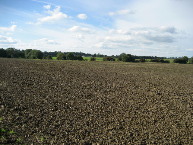 File:Looking over fields towards Firby - geograph.org.uk - 249600.jpg