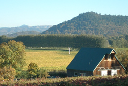 File:Melrose Winery, Umpqua Valley AVA.jpg