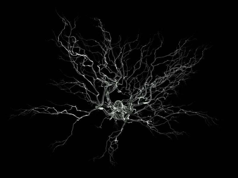 File:Neuron-SEM-2.png