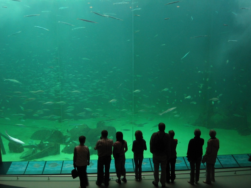 Nordsøen Oceanarium Wikipedia