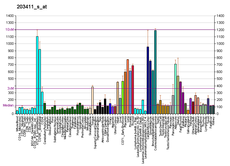 File:PBB GE LMNA 203411 s at fs.png