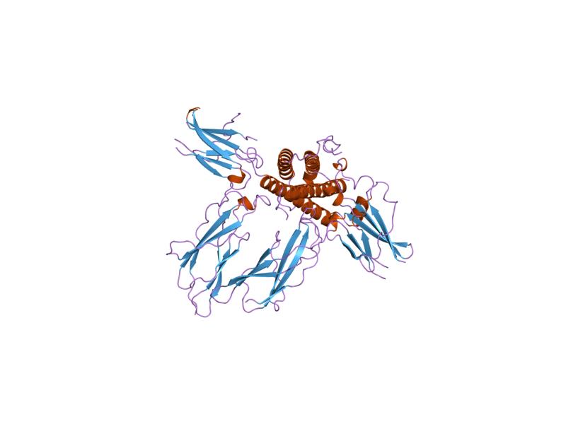 File:PDB 1hwg EBI.jpg