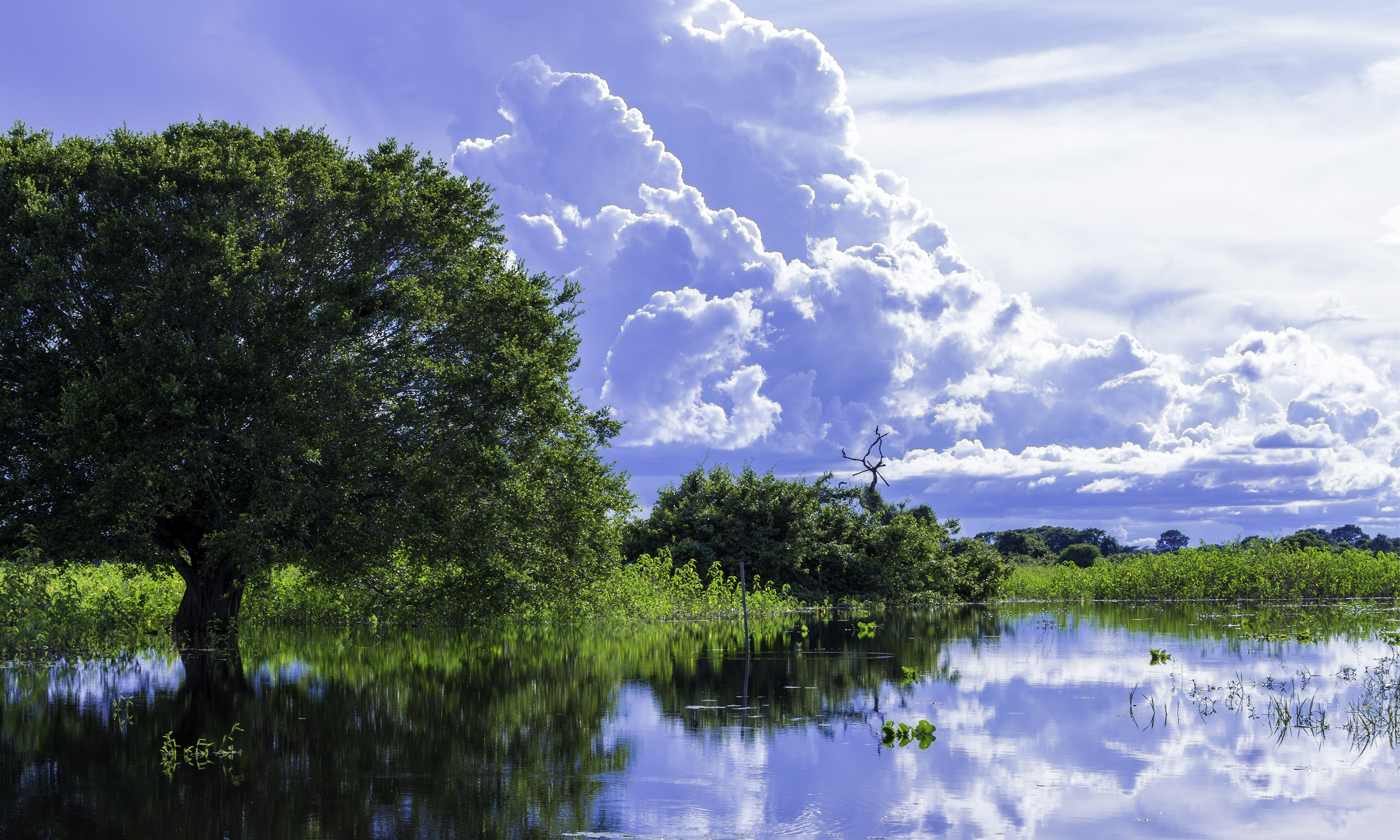 Arena Pantanal – Wikipédia, a enciclopédia livre