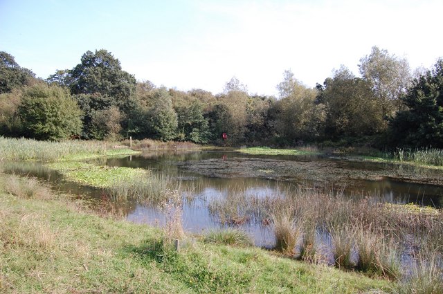 File:Pond at Wycke Meadow - geograph.org.uk - 973707.jpg