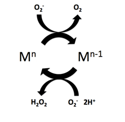 <span class="mw-page-title-main">Superoxide dismutase mimetics</span> Synthetic compounds