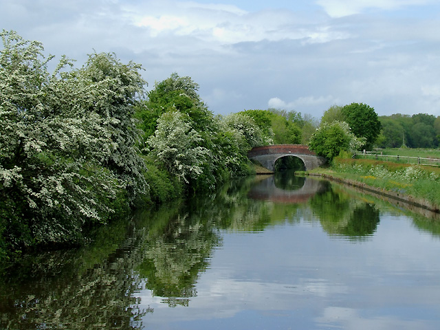 File:Shropshire Union Canal north of Wheaton Aston, Staffordshire - geograph.org.uk - 1381274.jpg