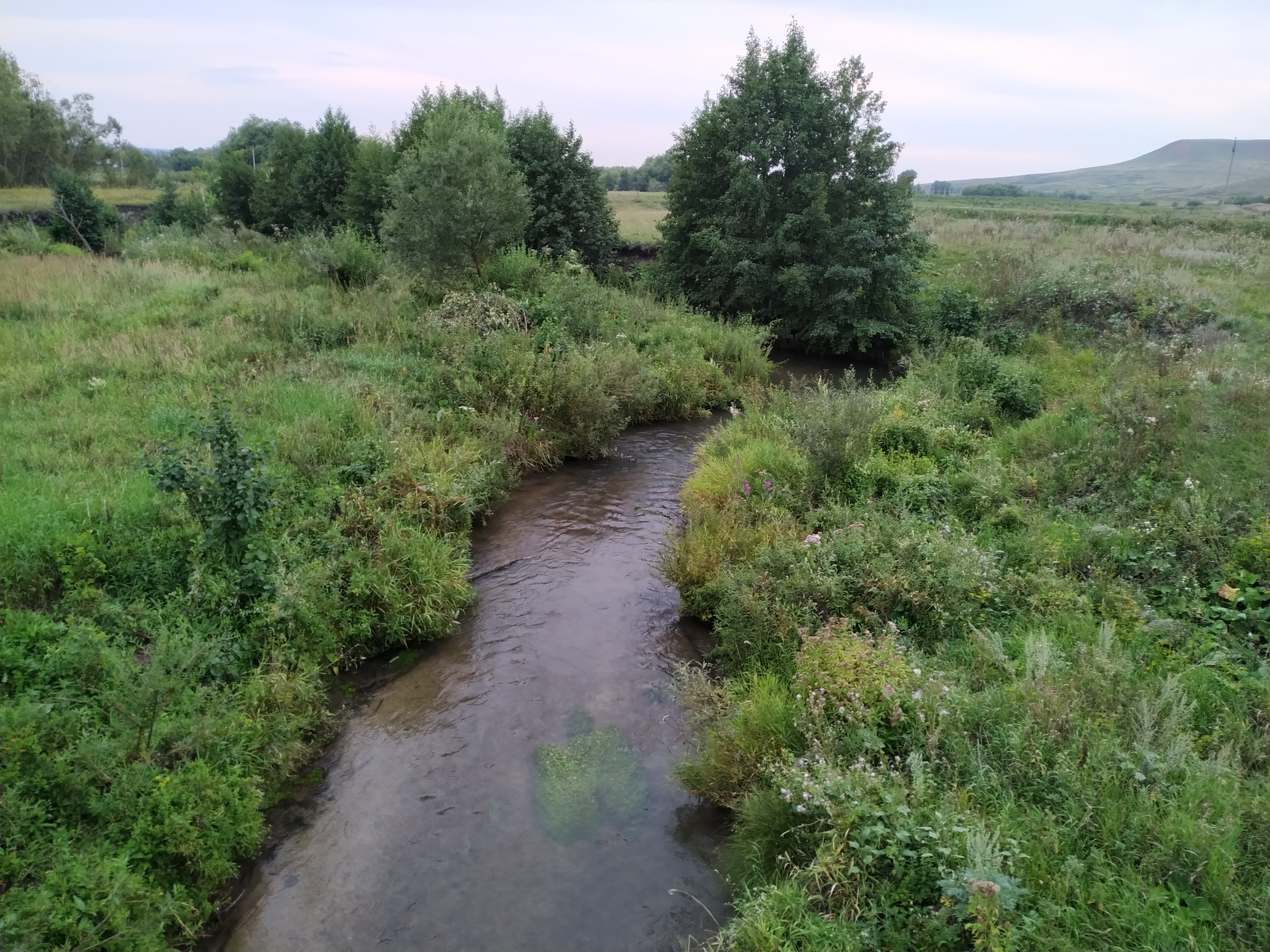 река сургут самарская область