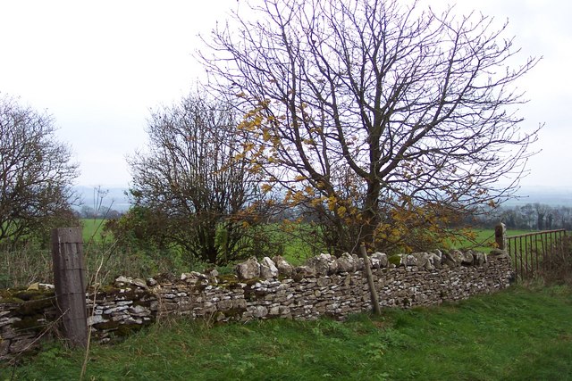 File:Stone wall on Icomb Hill - geograph.org.uk - 280053.jpg